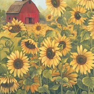 Meet your Posher, Meredith